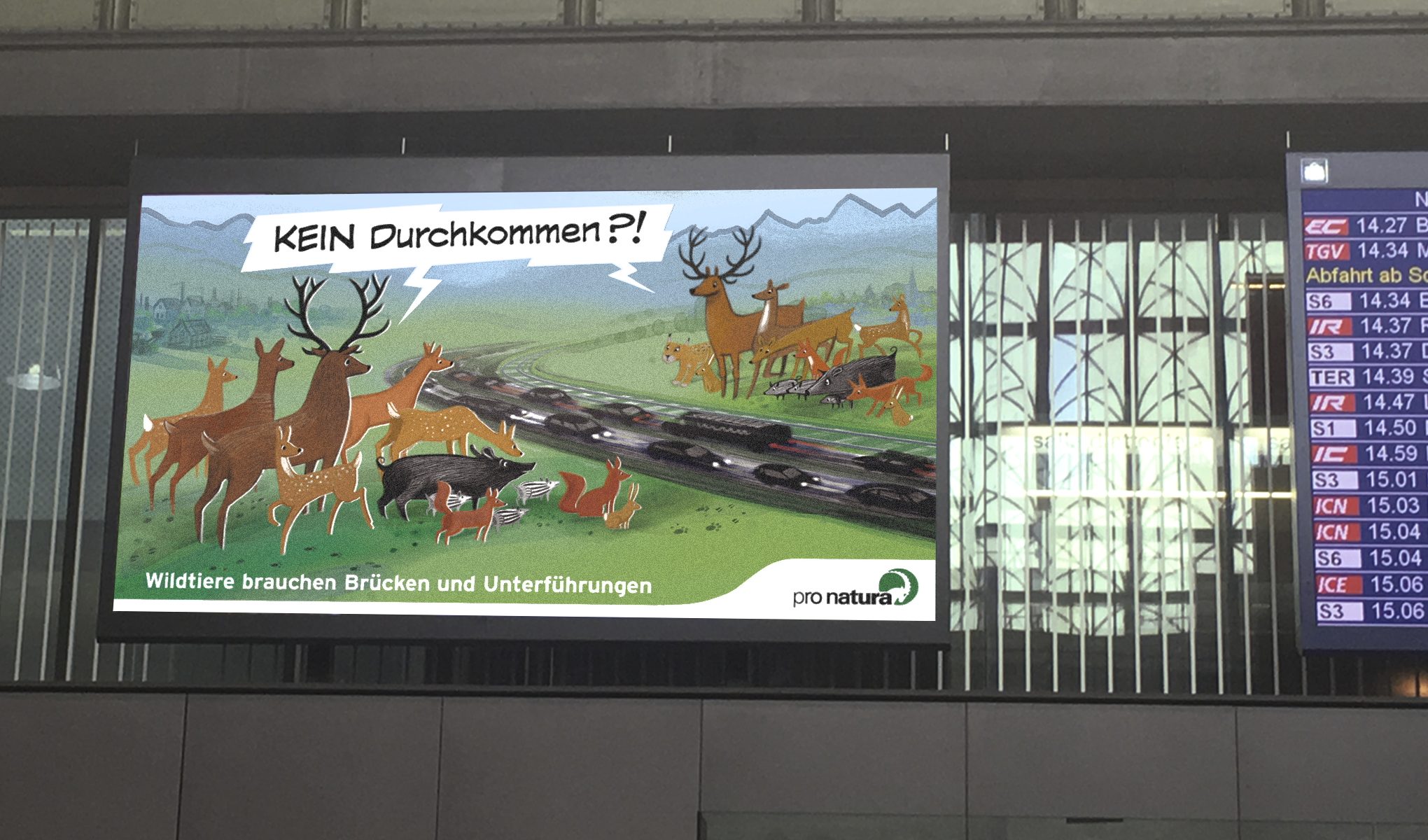 ProNatura_Screen2017 ProNatura_Screen2017